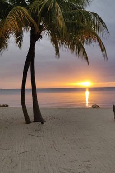 Have a voice in our Community